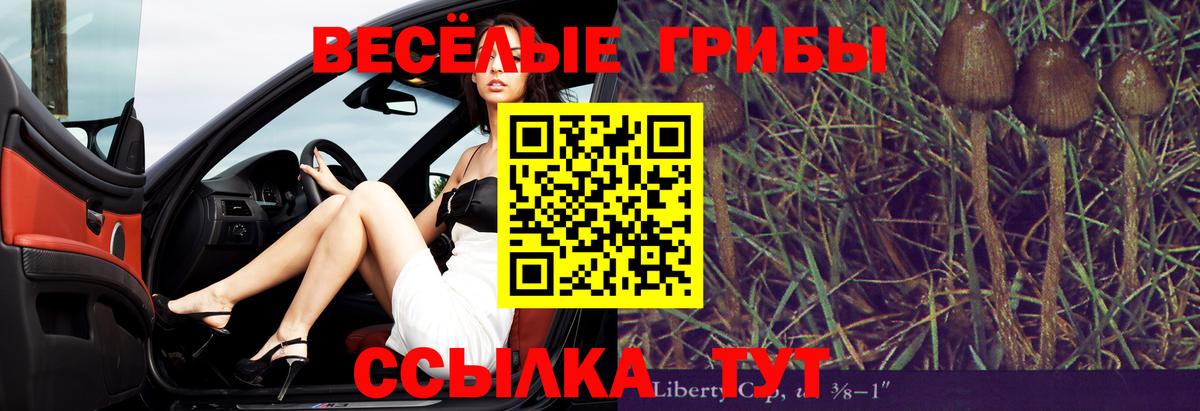 Псилоцибиновые грибы мицелий  Галлюциногенные грибы Psilocybine cubensis  Алексин  Вход с VPN 